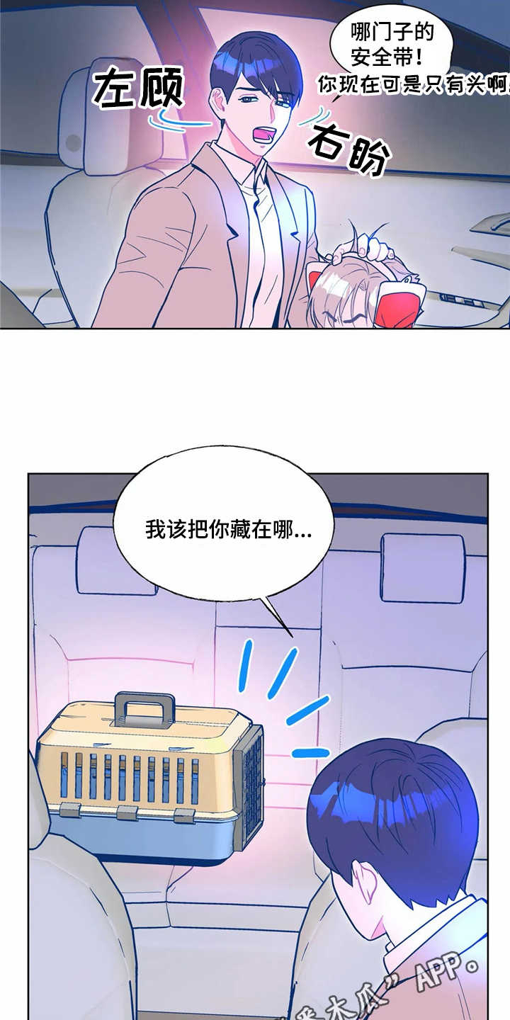 高能物理研究所待遇漫画,第8章：潜入3图
