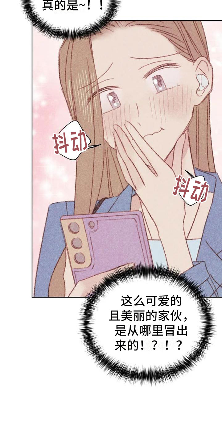 电话那边有回音怎么回事漫画,第2章：可爱的家伙1图