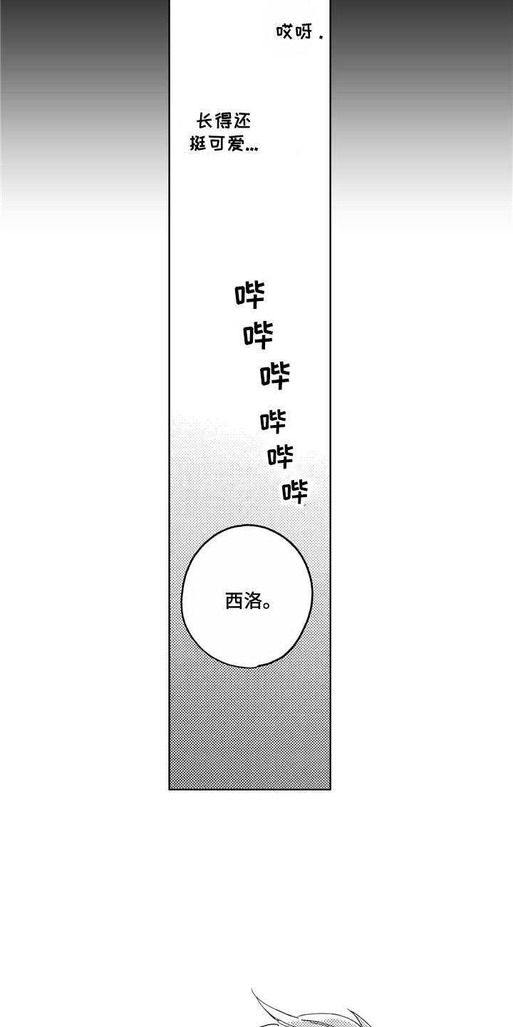 社畜也有爱情漫画,第6章：爱心便当5图
