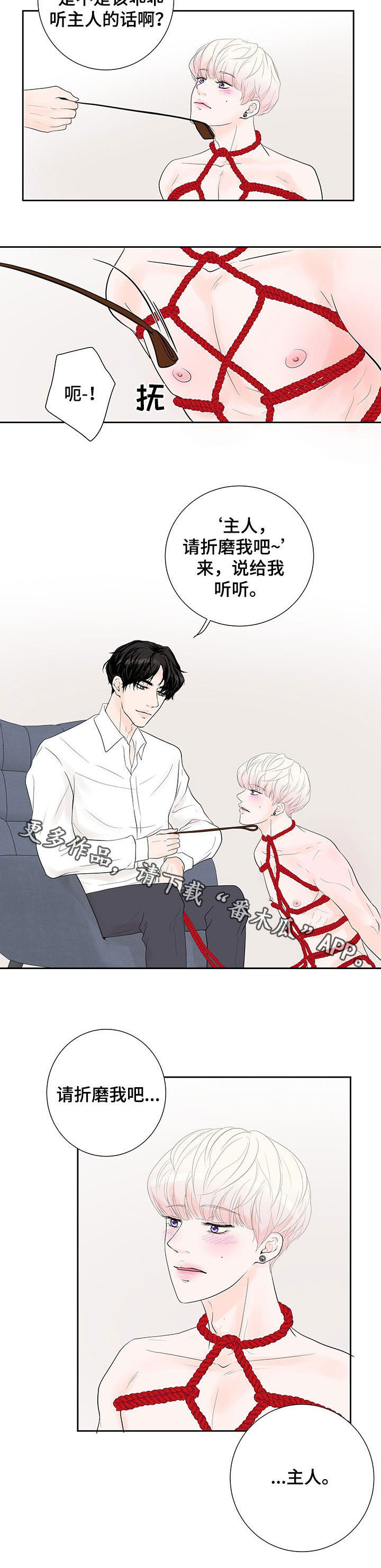 产品试用员漫画,第64章：【番外】愿望5图