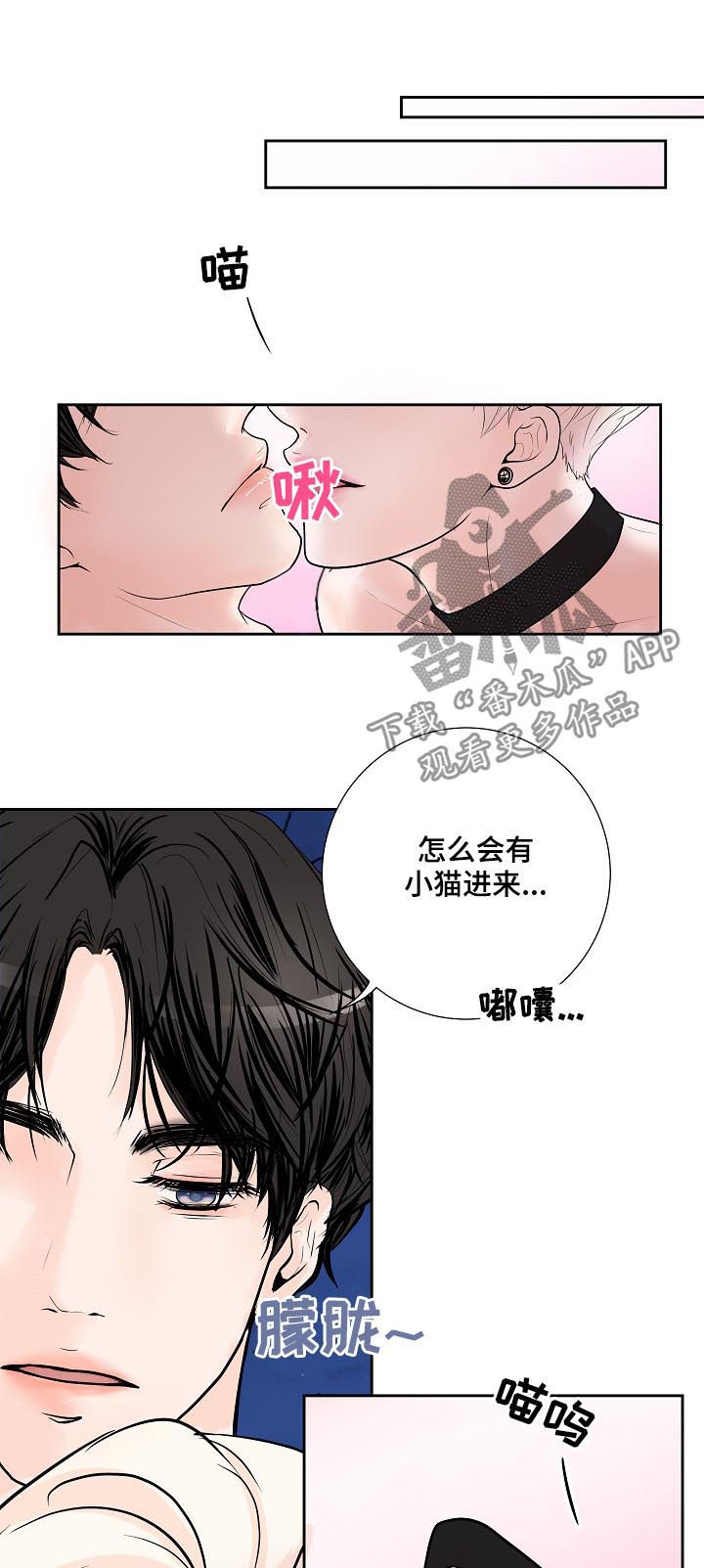产品试用员是干什么的漫画,第38章：小猫3图