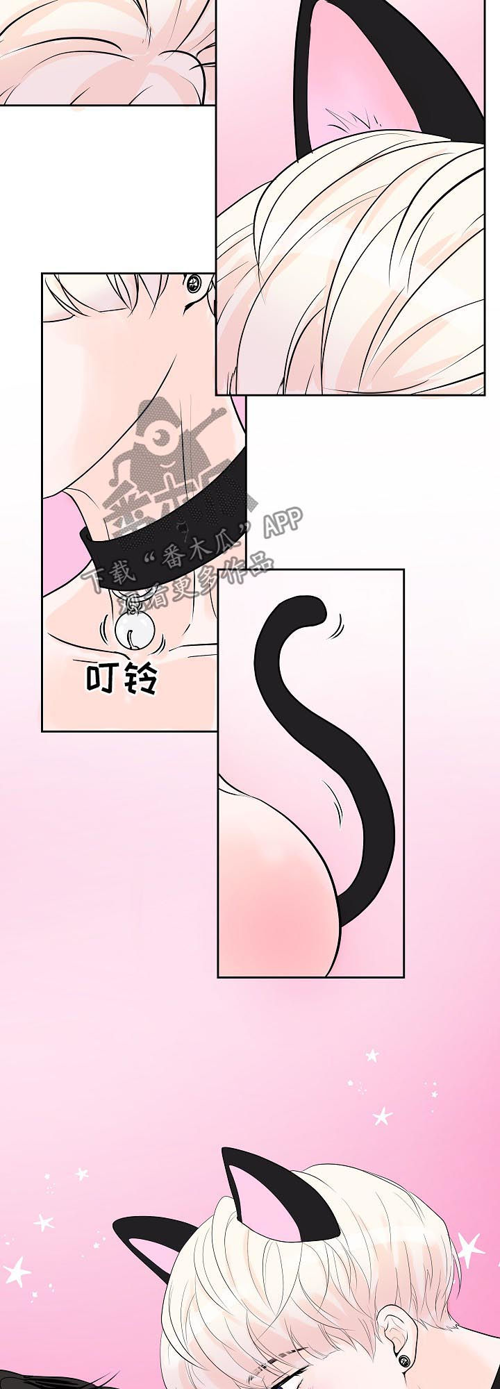 产品试用员是干什么的漫画,第38章：小猫4图