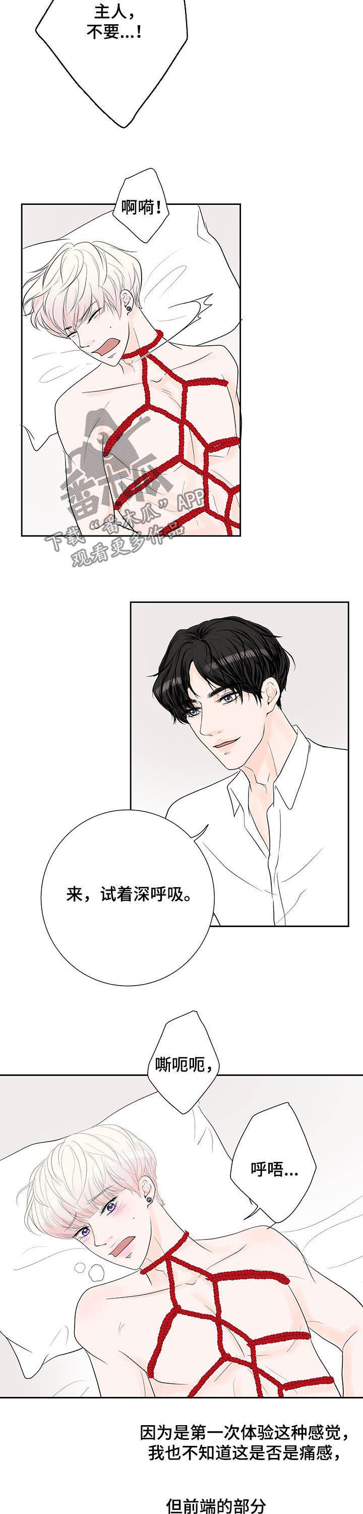 产品试用员漫画,第66章：【番外】我好困2图