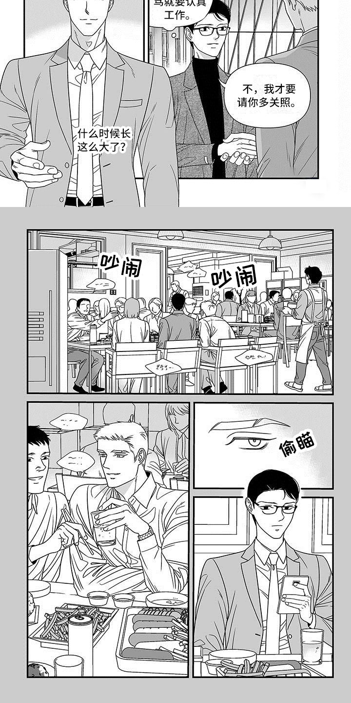 红色密语漫画,第2章：挖角5图