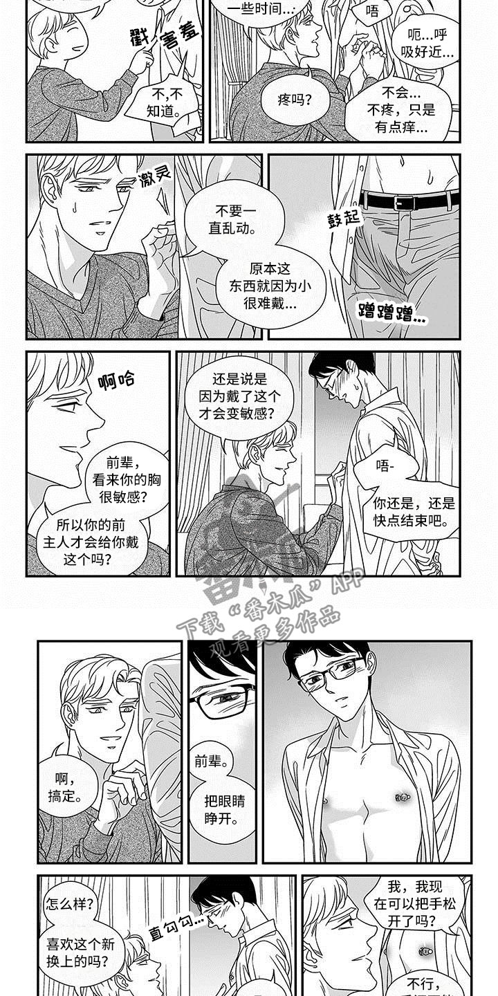 红色密封胶条定制漫画,第17章：潜质1图