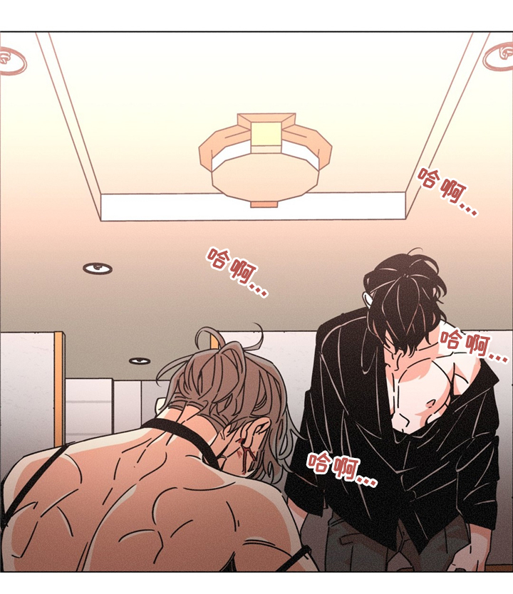 困局逃脱漫画,第38章：是我做错了5图