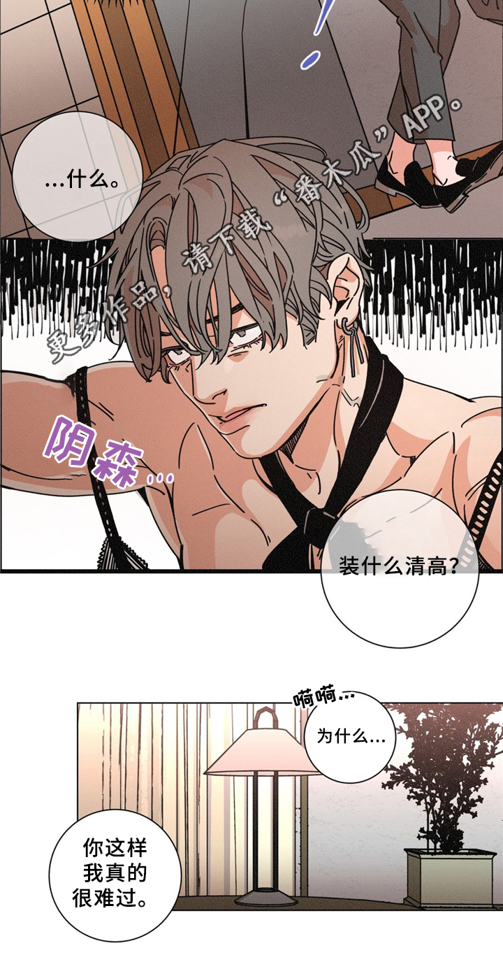 困局逃脱漫画,第38章：是我做错了2图