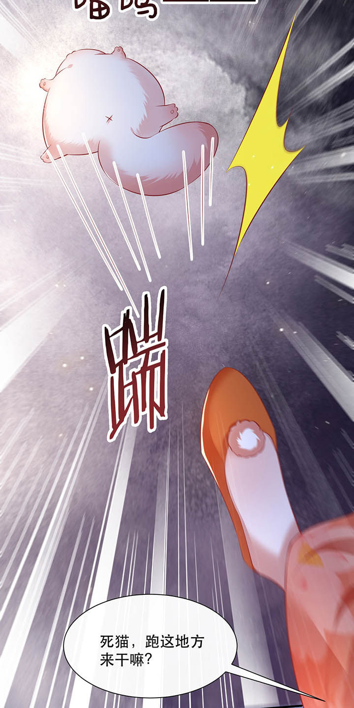 这个王妃路子野漫画,第129章：竟然还活着！3图