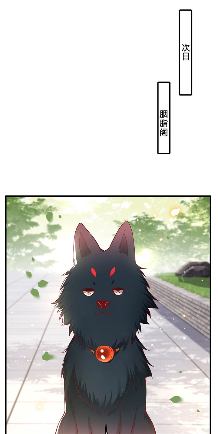 得宠全文免费阅读北夜漫画,第69章：老娘非北阴不嫁5图