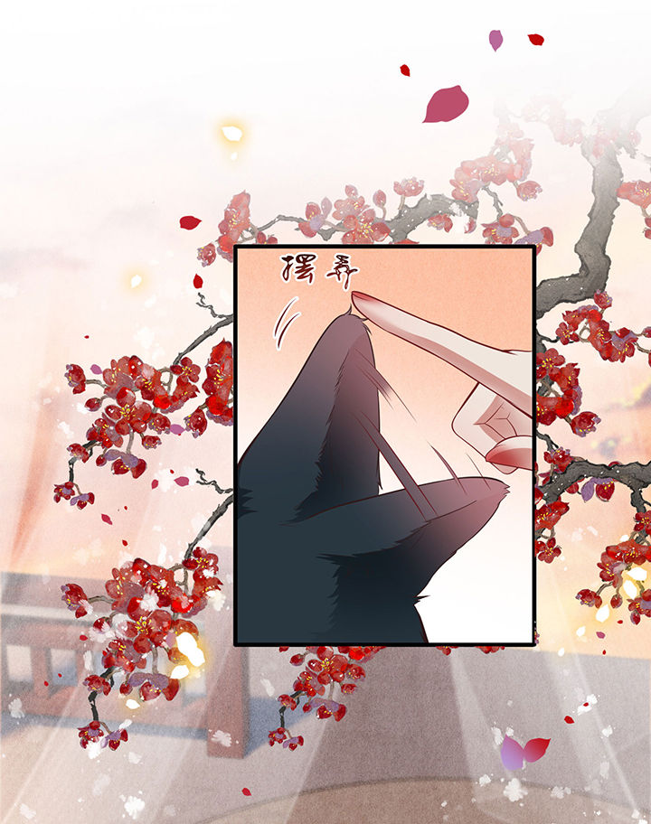 这个王妃路子野漫画,第71章：本宫答应嫁给你了吗？！1图