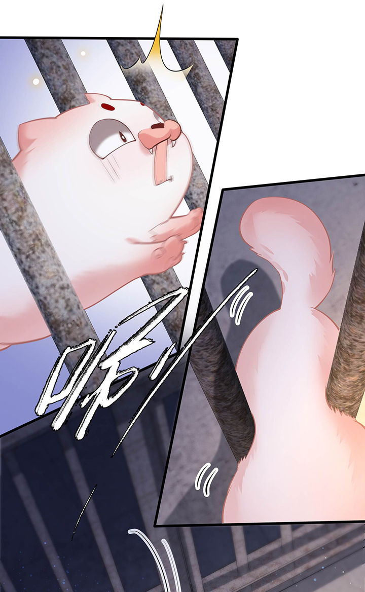 这个王妃路子野漫画漫画,第32章：让本宫瞧瞧，召唤个什么东西1图