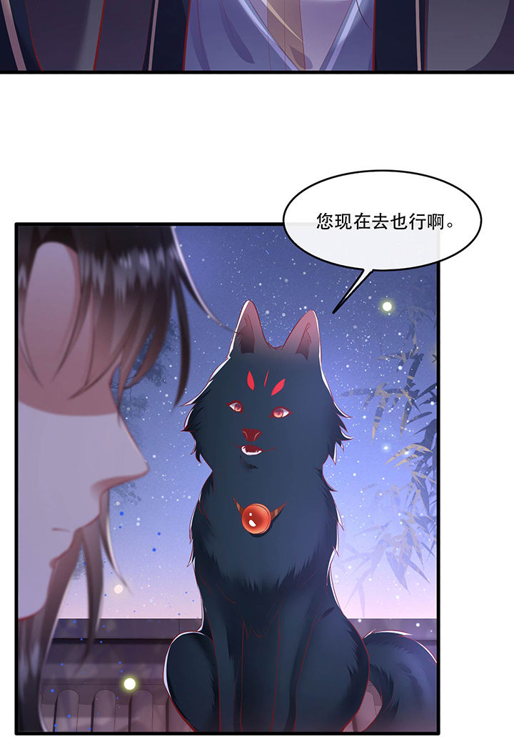 这个王妃太狂野全集免费漫画,第69章：老娘非北阴不嫁3图