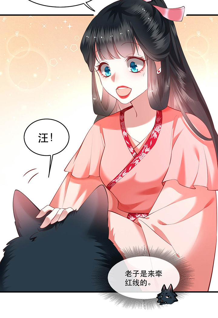 这个王妃路子野漫画,第54章：学会给主人捡东西了！4图