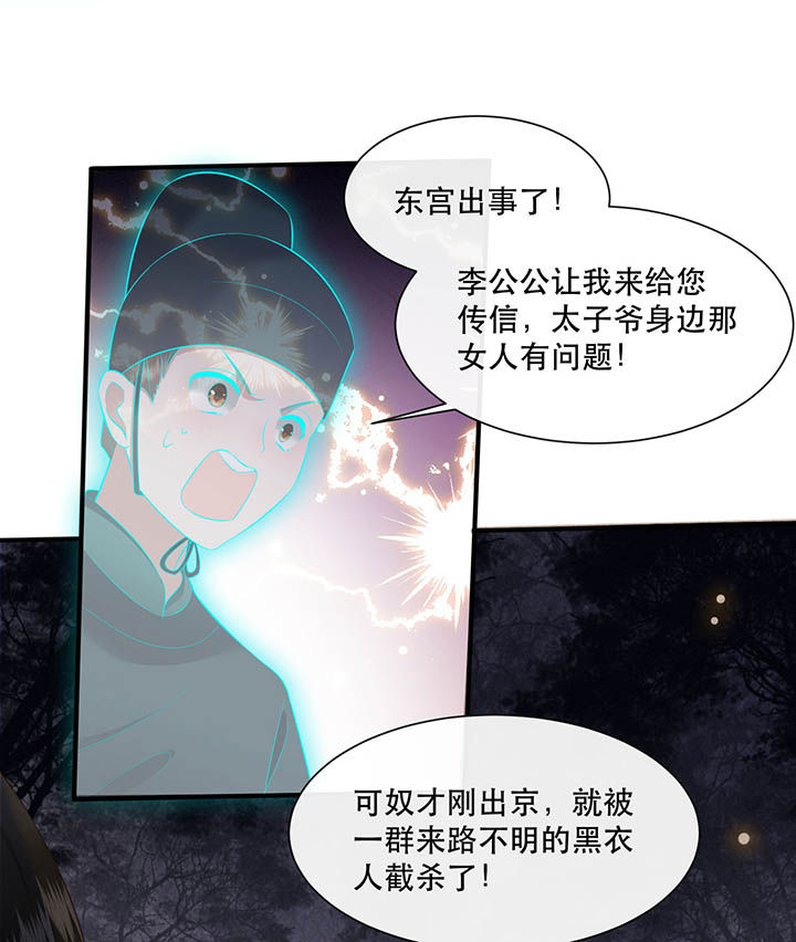 这个王妃路子野漫画,第108章：东宫出事了！3图
