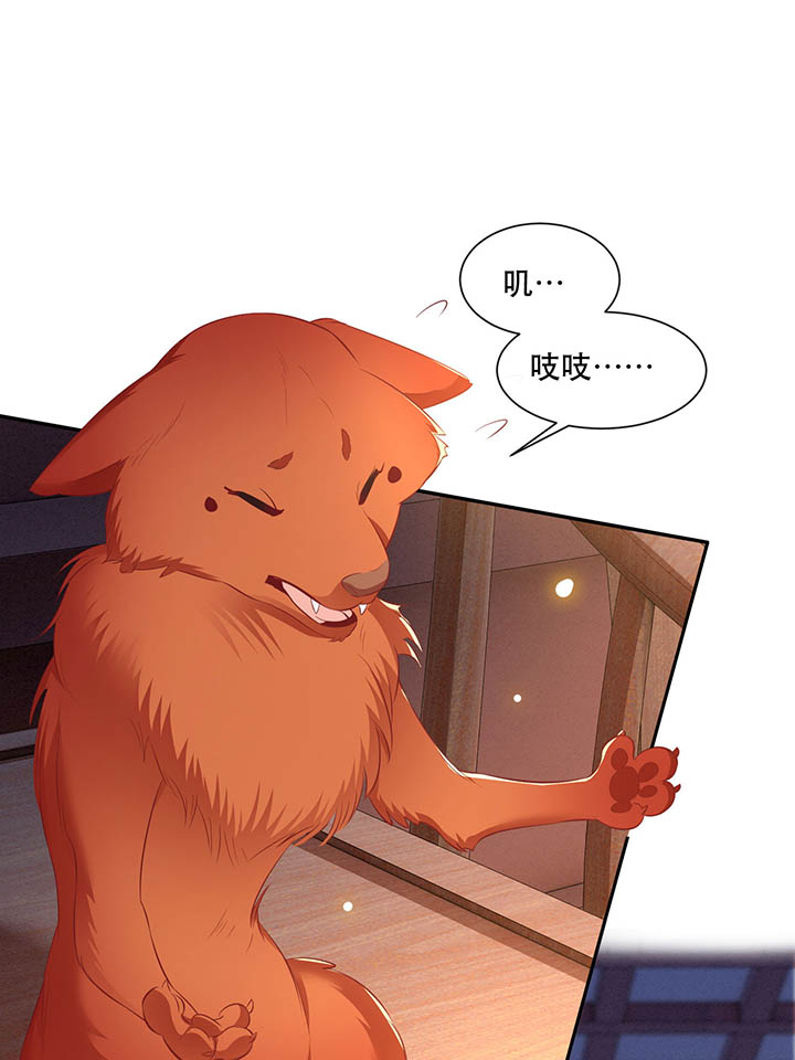 这个王妃路子野漫画,第110章：赶紧把裤子脱了1图