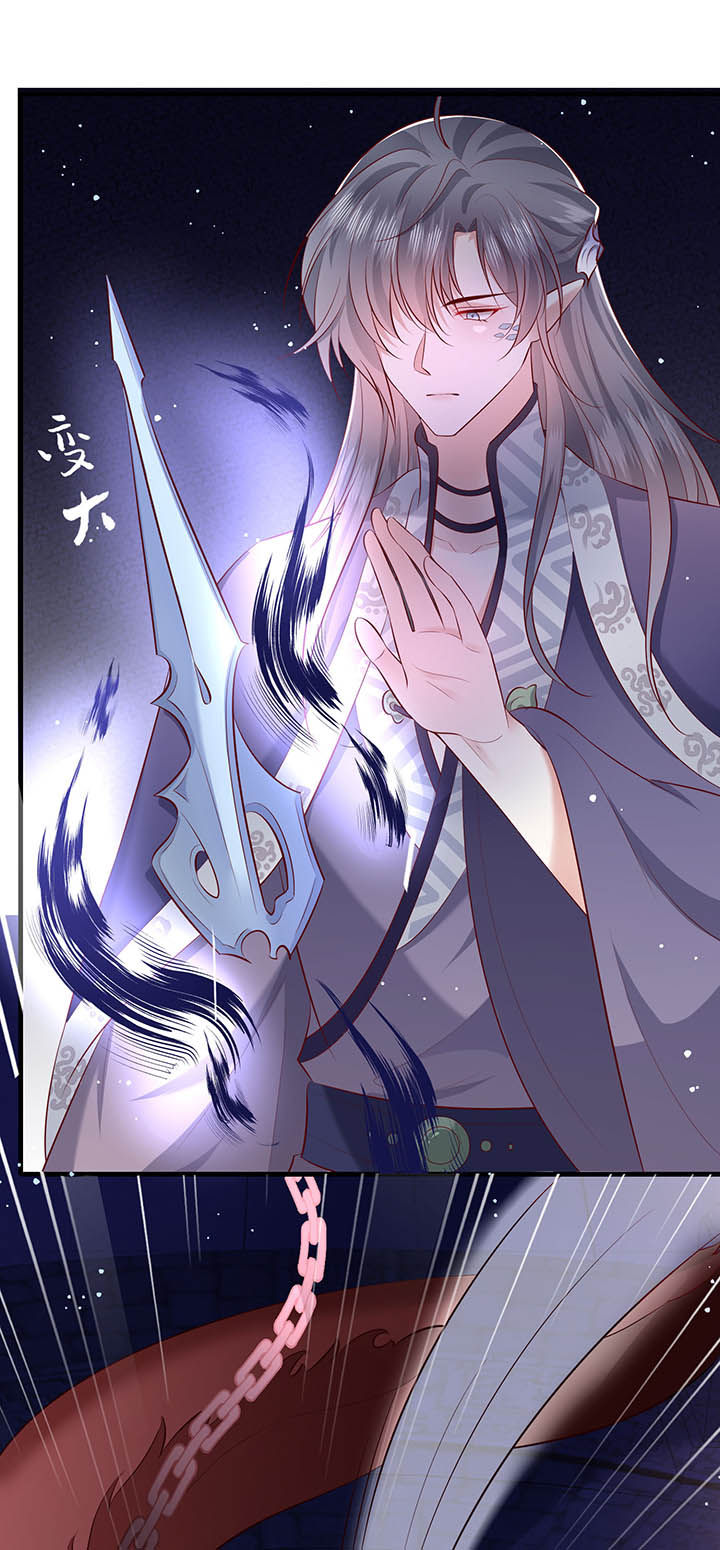 这个王妃路子野下拉式免费阅读漫画,第168章：疯起来自己都打1图