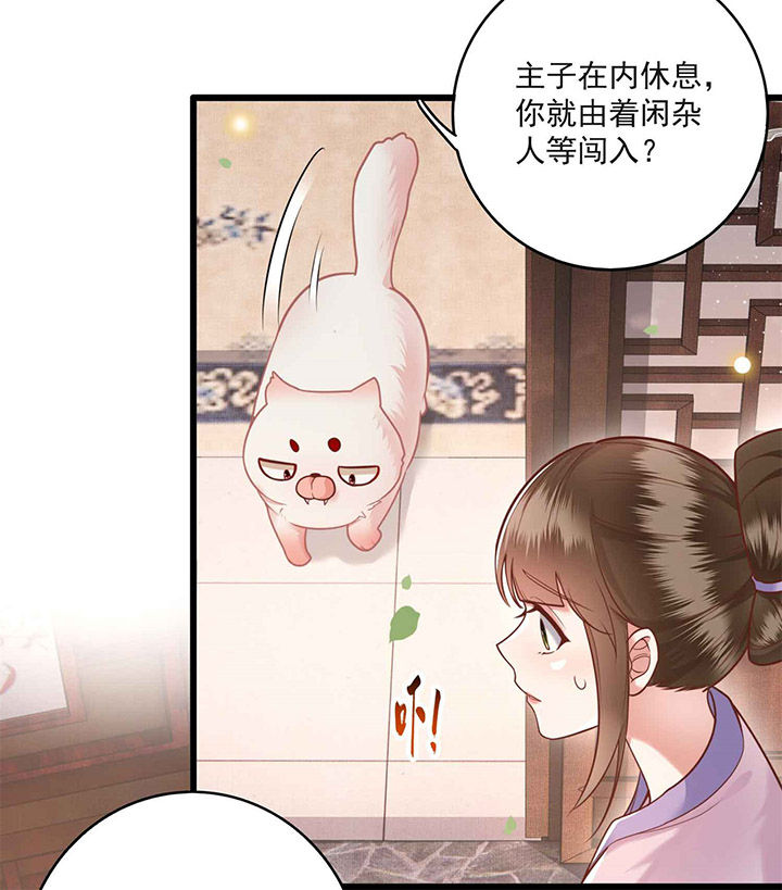 这个王妃路子野漫画,第13章：把狗牵到主人面前打3图
