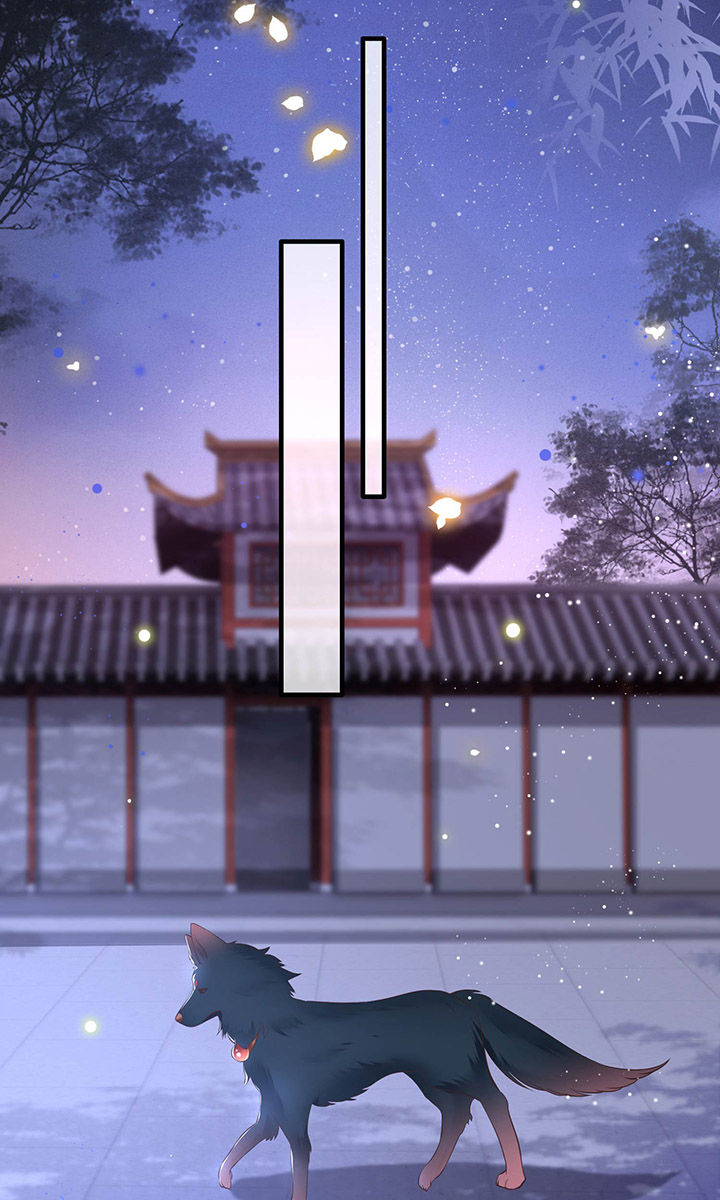 得宠全文免费阅读北夜漫画,第69章：老娘非北阴不嫁3图