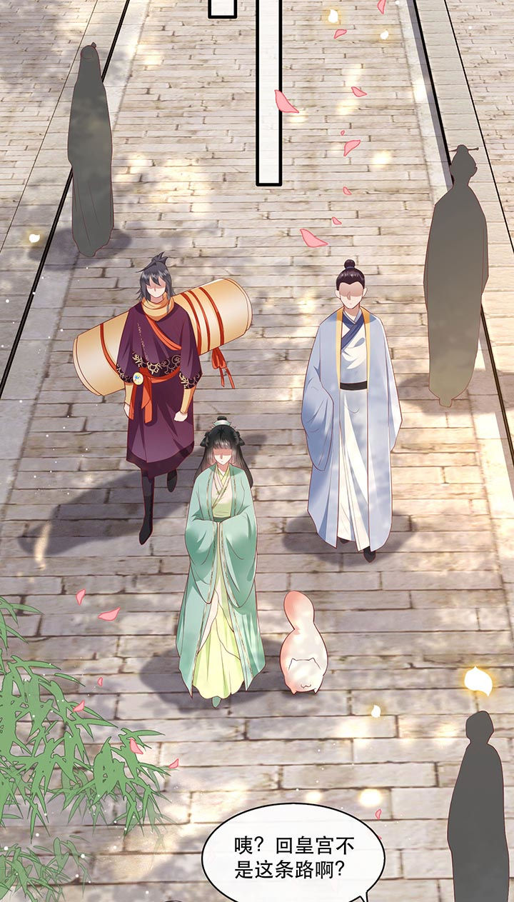 这个王妃路子野得宠结局是什么漫画,第83章：这次，换我来保护你2图