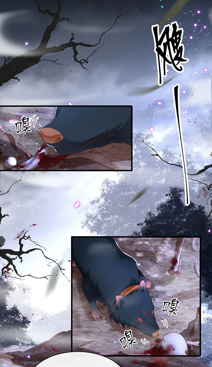 这个王妃路子野漫画,第54章：学会给主人捡东西了！5图