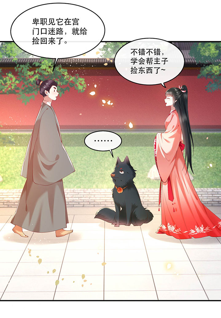 这个王妃路子野漫画,第54章：学会给主人捡东西了！5图