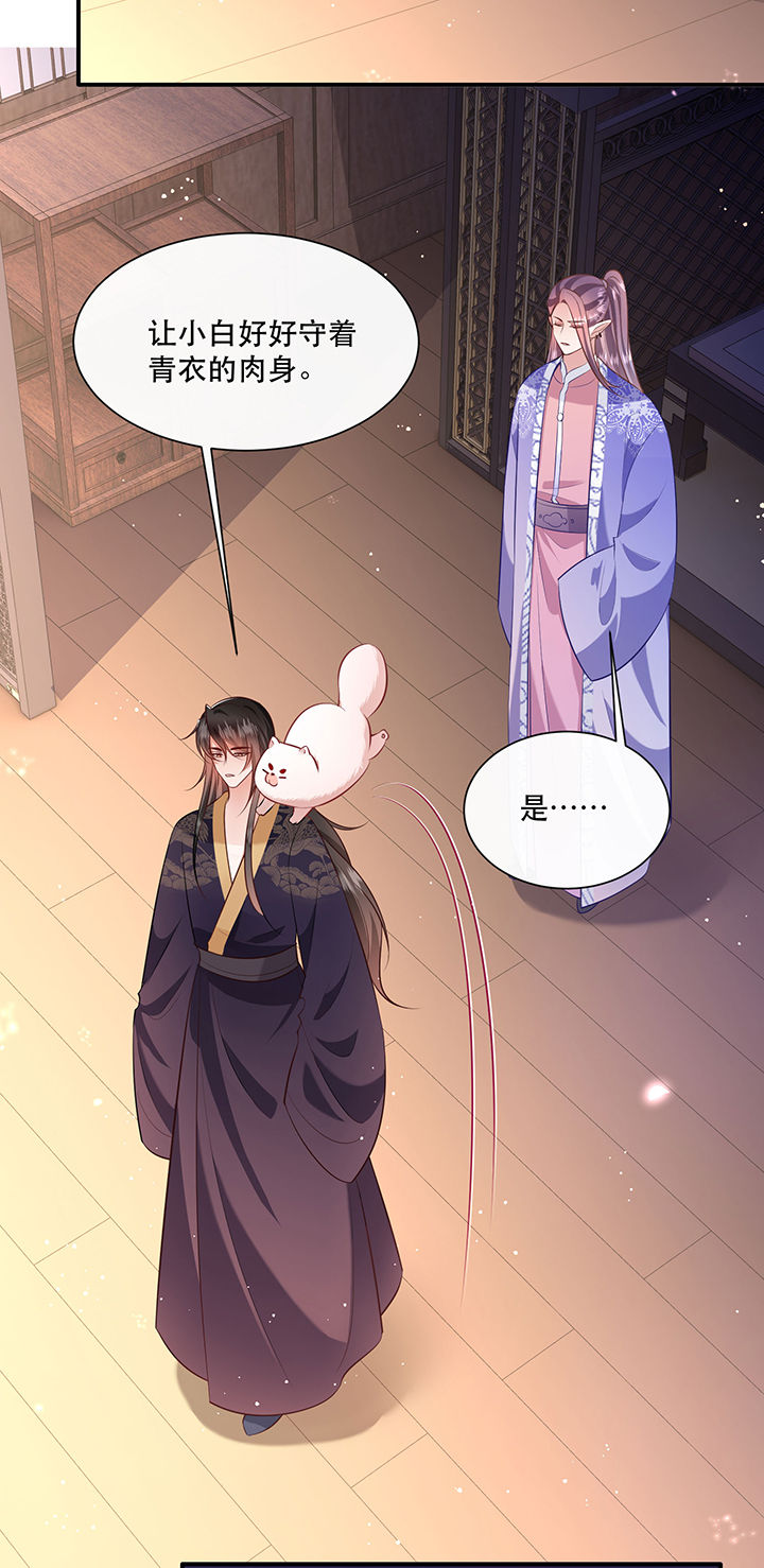 这个王妃路子有点野漫画,第147章：烨颜来过3图