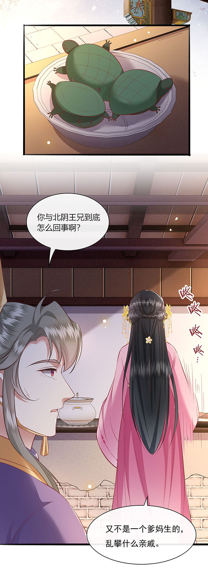 得宠全文免费阅读北夜漫画,第123章：本公主给你做老鳖汤5图