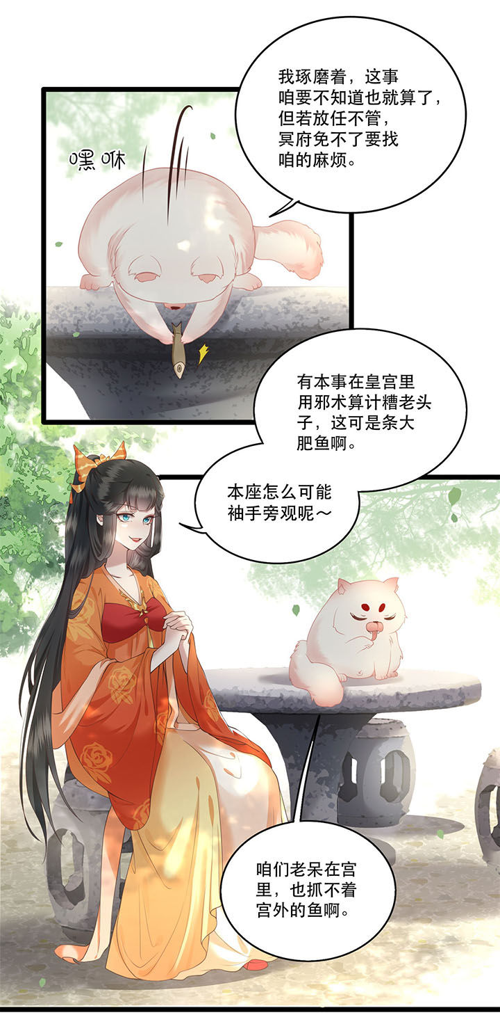 这个王妃路子野得漫画,第18章：去请教你的狗头军师3图