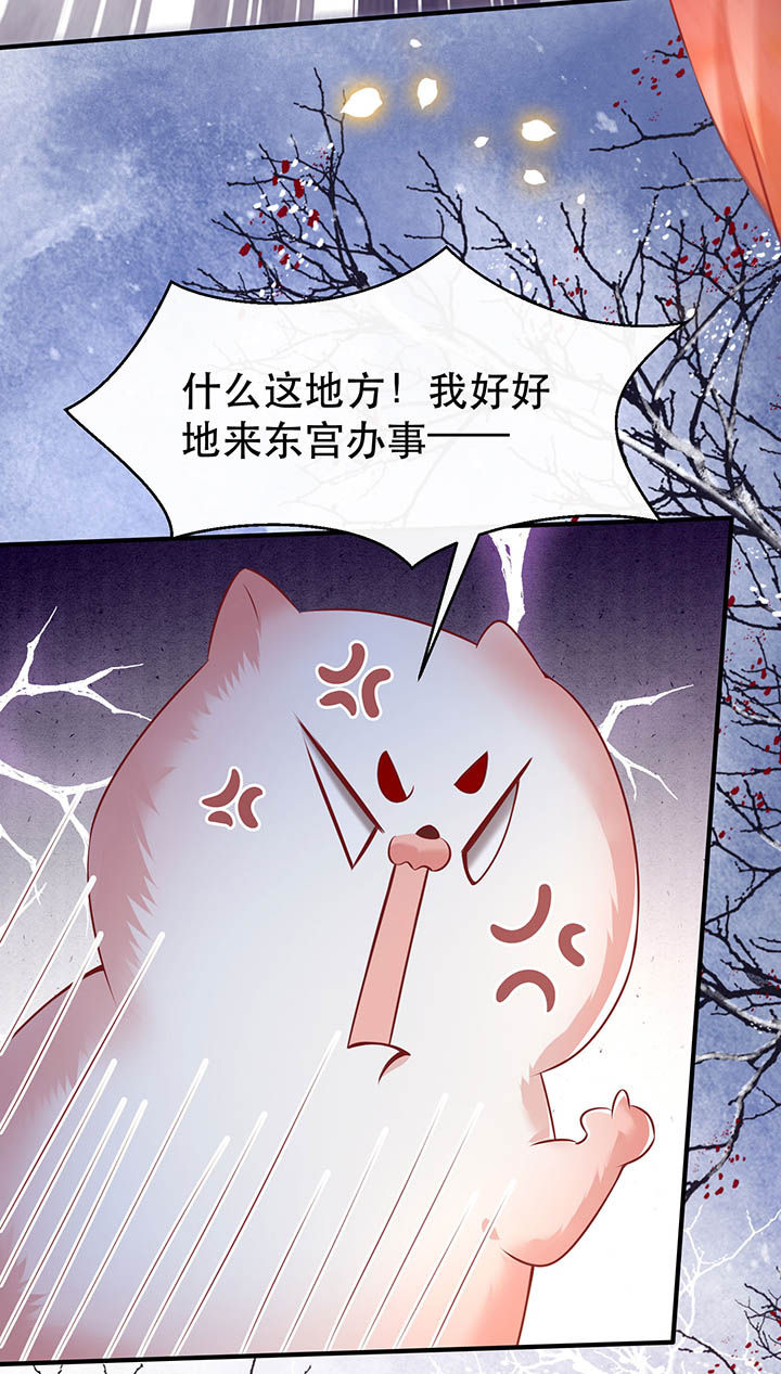 这个王妃路子野漫画,第129章：竟然还活着！4图