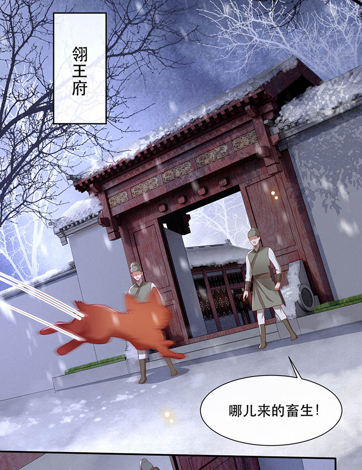 这个王妃路子野漫画,第110章：赶紧把裤子脱了4图