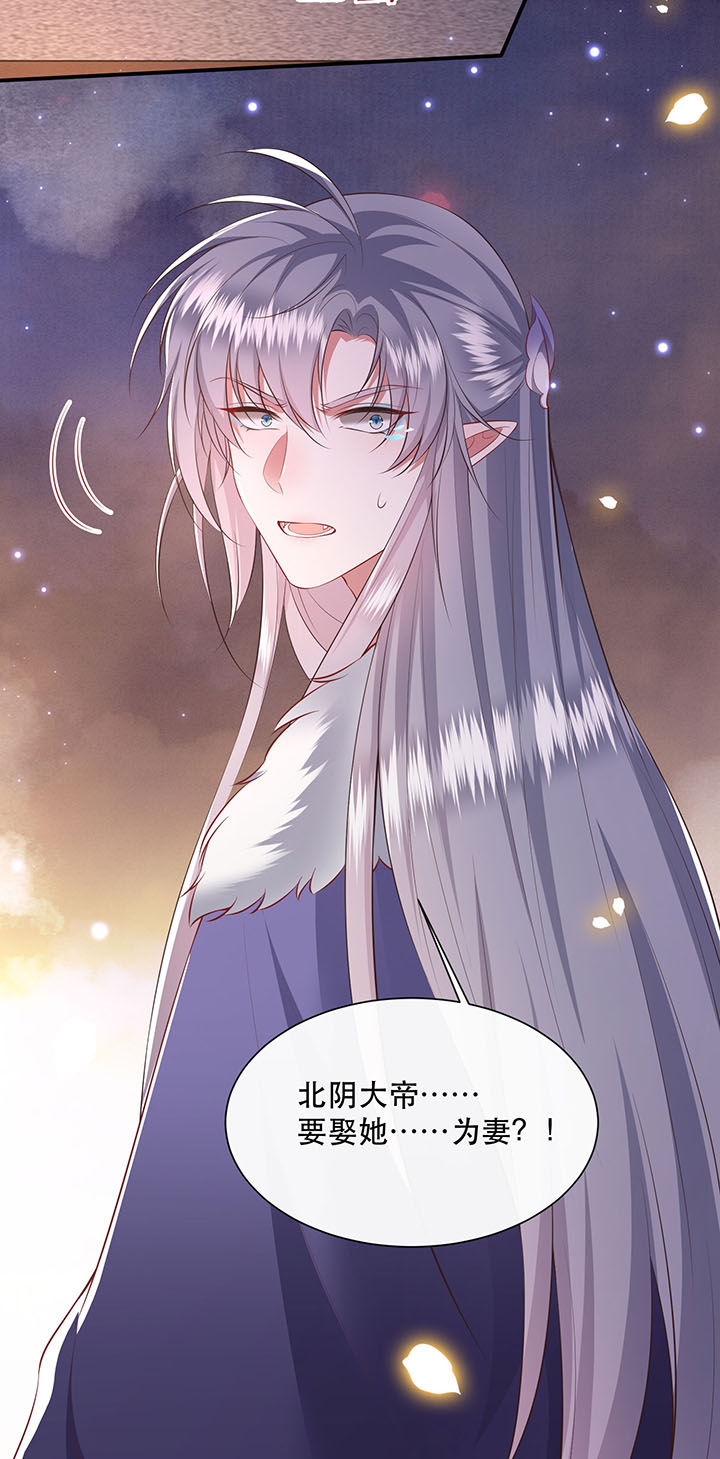 这个王妃路子野漫画,第126章：求个婚告昭六界？！3图