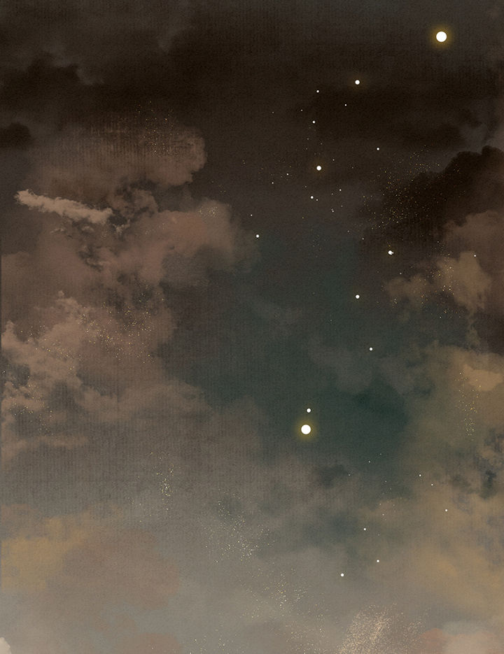 这个王妃路子野漫画,第101章：考虑考虑当我大嫂？1图