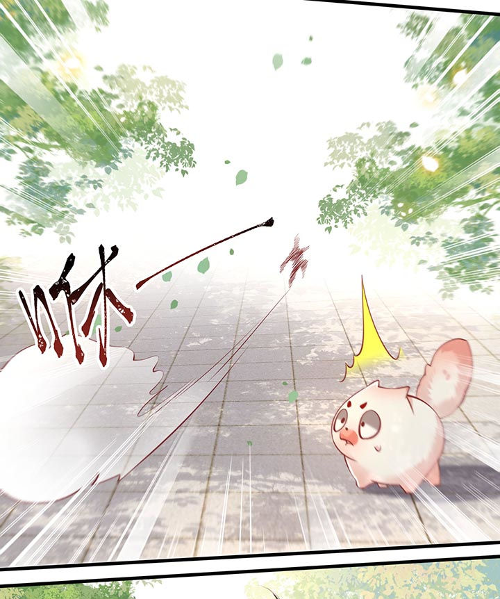 这个王妃路子野人物介绍漫画,第81章：暗杀情敌？3图