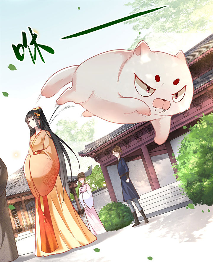 这个王妃路子野漫画漫画,第12章：世人皆爱美4图