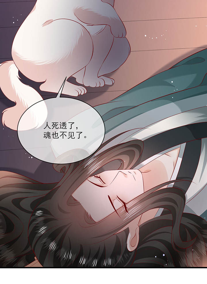 这个王妃路子野得宠百科漫画,第167章：大型精分现场1图