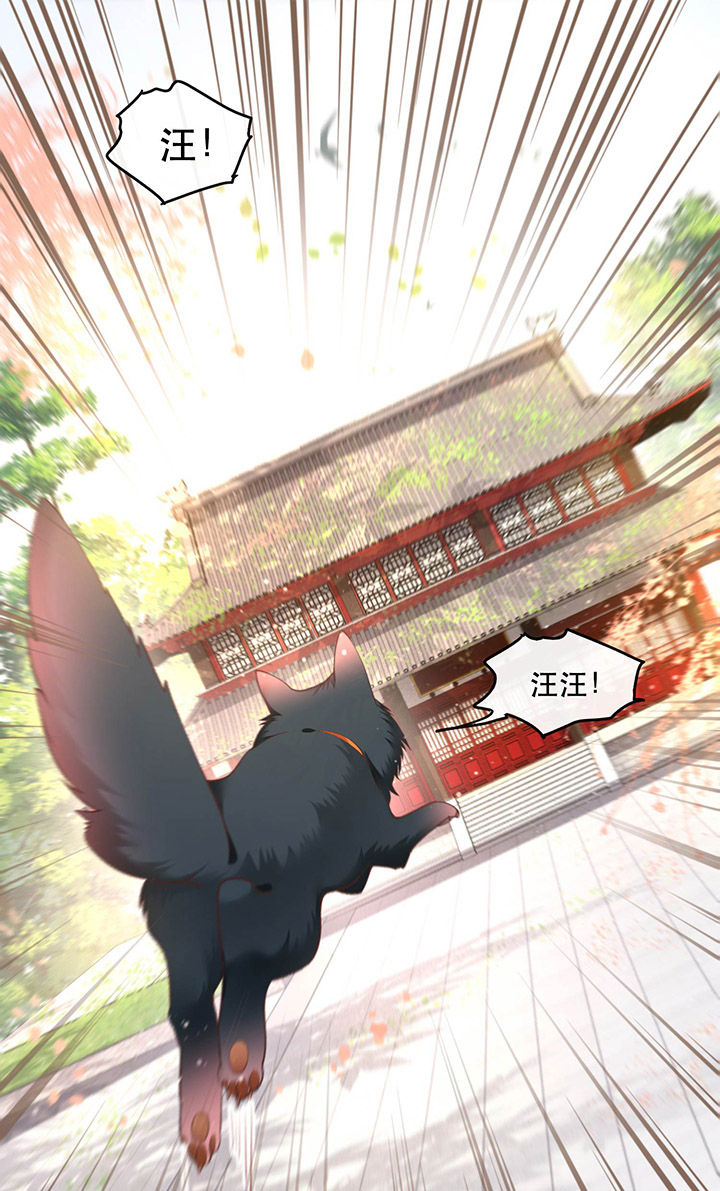 这个王妃路子野漫画,第54章：学会给主人捡东西了！2图