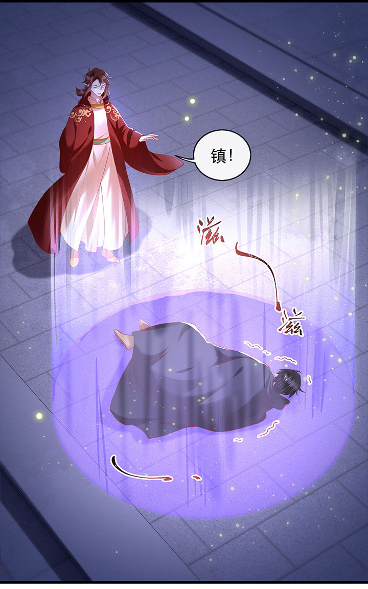 这个王妃路子很野得宠漫画漫画,第66章：我也没下死手啊4图