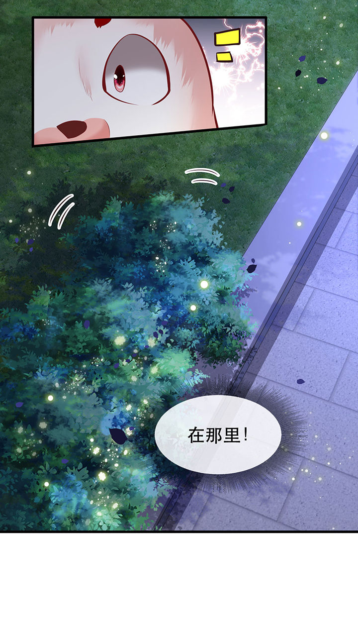 这个王妃有点皮动漫视频漫画,第71章：本宫答应嫁给你了吗？！1图