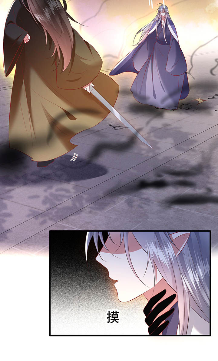 得宠小说漫画,第149章：说什么虎狼之词5图