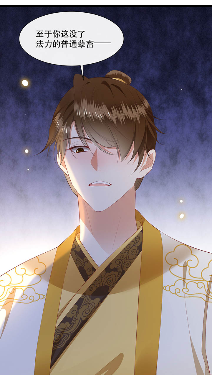 这个王妃路子野漫画,第110章：赶紧把裤子脱了5图