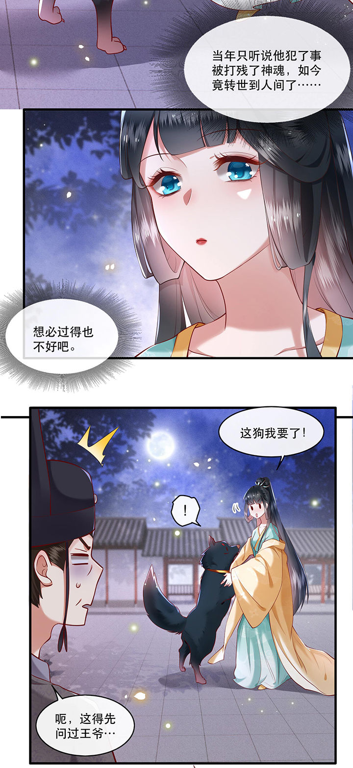 这个王妃路子野漫画,第50章：喝了迷魂药，过了奈何桥2图