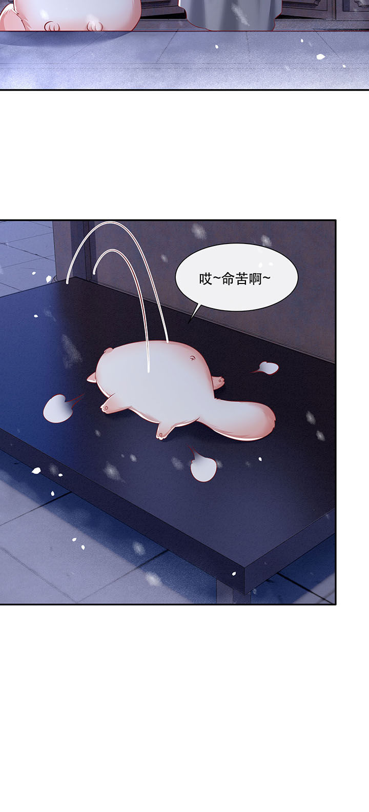 这个王妃路子野漫画,第126章：求个婚告昭六界？！5图