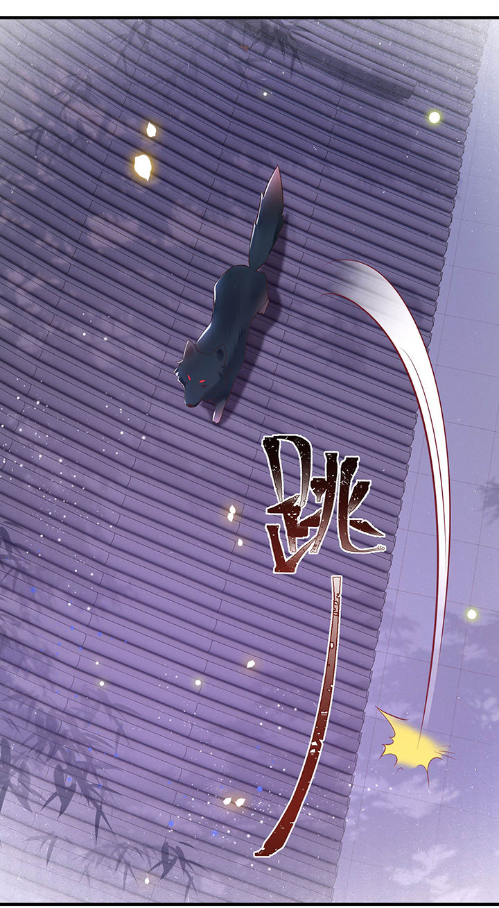 得宠全文免费阅读北夜漫画,第69章：老娘非北阴不嫁5图