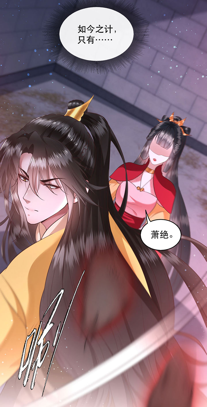 这个王妃有点野全文免费阅读漫画,第33章：赶紧把那只猫精收拾了！_2图