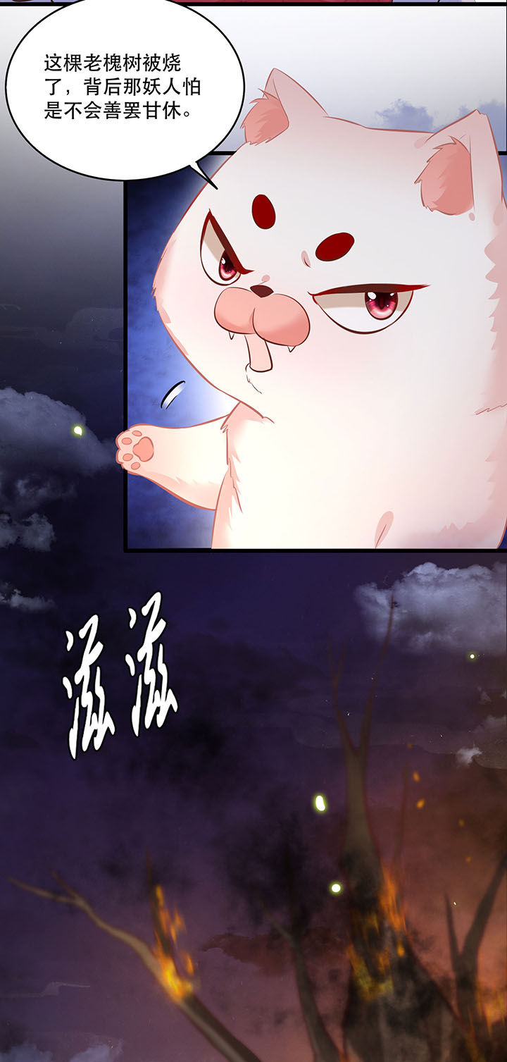 这个王妃有点野漫画,第20章：逼本座翻脸是吧！1图