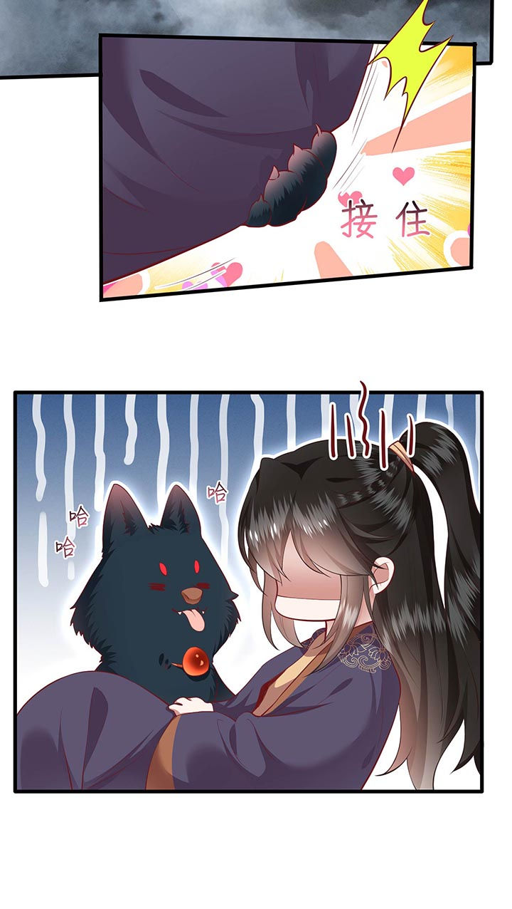 这个王妃路子野漫画,第85章：这次看你怎么救！5图