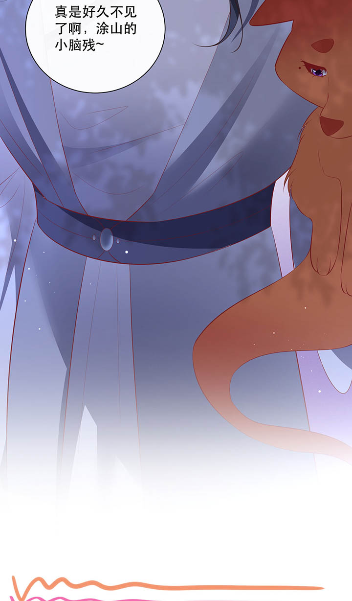 这个王妃路子野得宠全文免费阅读漫画,第155章：好大的狐骚味儿4图