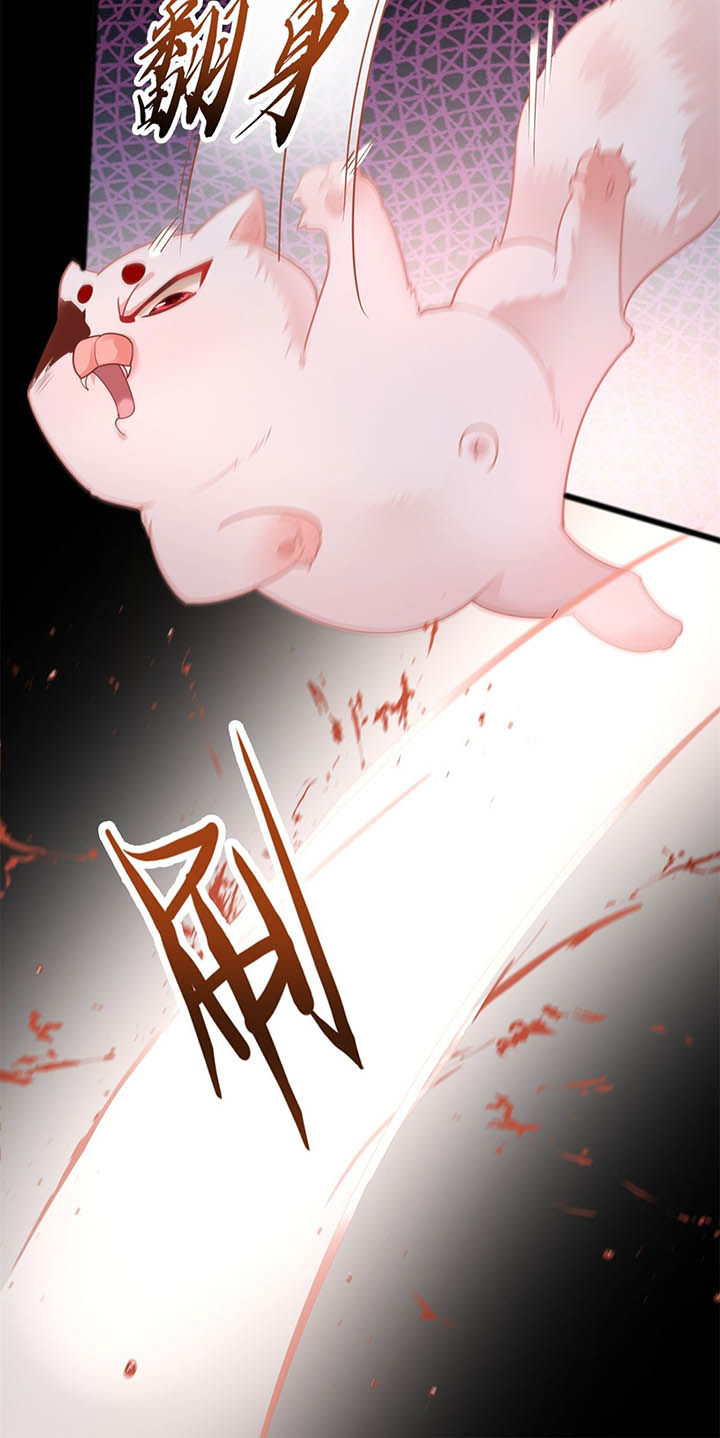 得宠漫画,第7章：还搁这哔哔赖赖4图