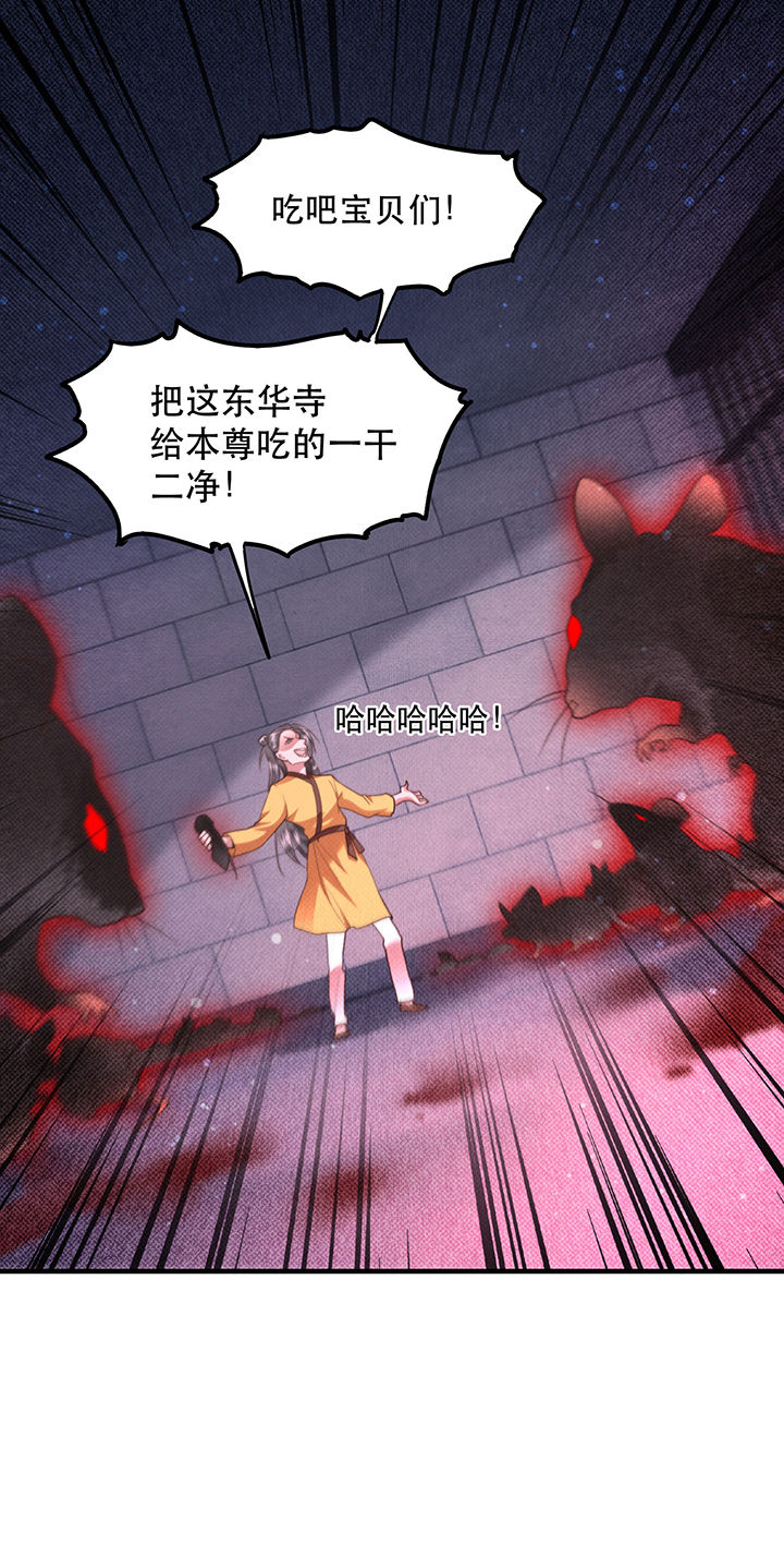 这个王妃路子野漫画,第33章：赶紧把那只猫精收拾了！_4图