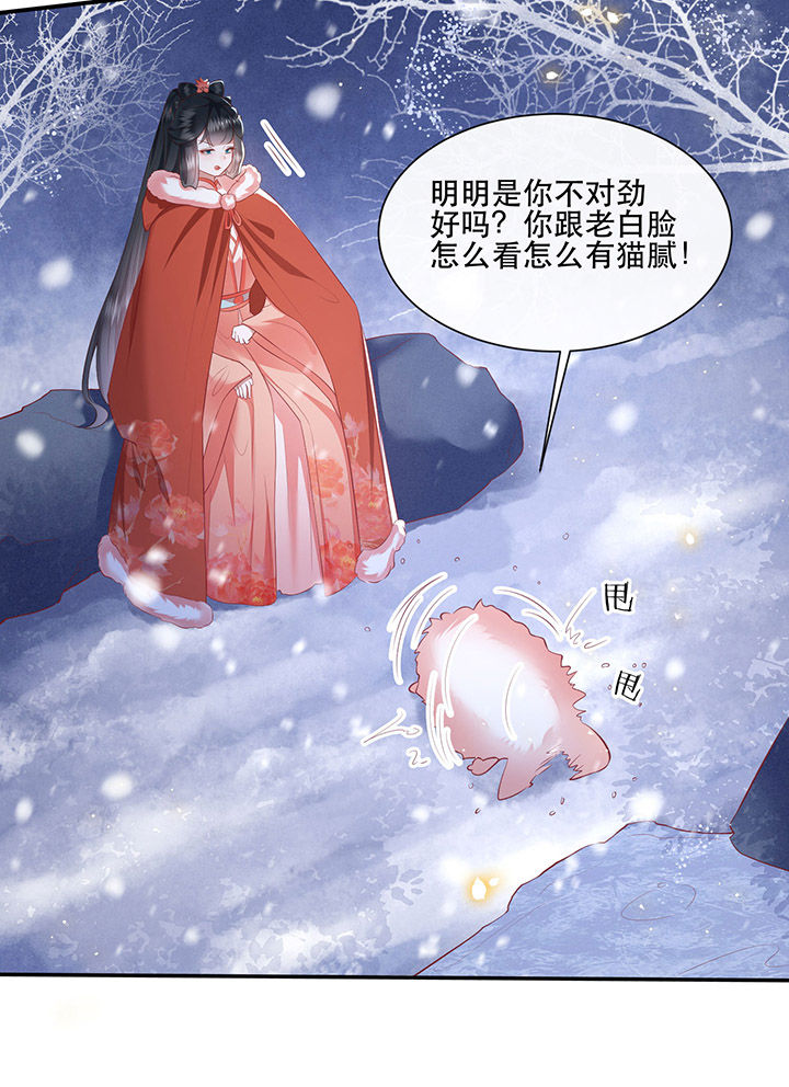 王妃路子野要宠 封侯拜饭漫画,第114章：是喜欢还是崇拜？5图